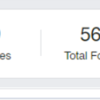 500 plus page likes in just 3 days