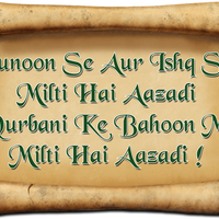 Portfolio Thumbnail 6