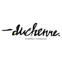 BRAND IDENTITY
