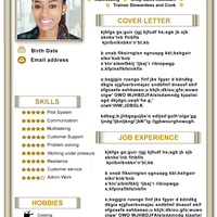 CV/Resume Design