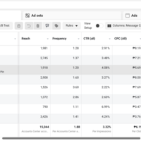 My Facebook Ad Campaigns 2 Sample