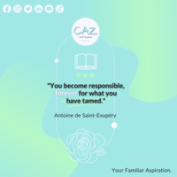 Portfolio Thumbnail 3