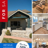 Portfolio Thumbnail 3