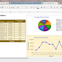 Data Entry in Excel with Graphical Repreentation