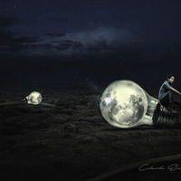 Portfolio Thumbnail 14