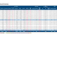 Sales tacking & Action Plan