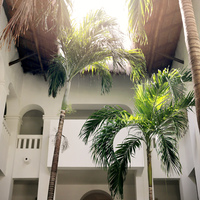 Social Media Content- Commercial