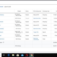 google conversion campaign with shopping ads