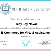 E-Commerce VA Training Certificate