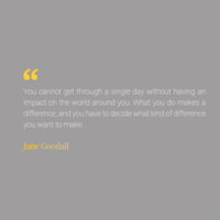 Portfolio Thumbnail 5