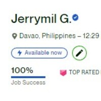 Upwork Top Rated Plus 