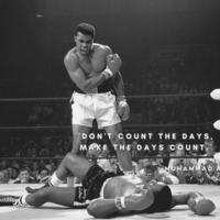 Social Media Imageries using CANVA
