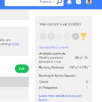 Ranked 3rd Among All The Virtual Assistants on Workana.com