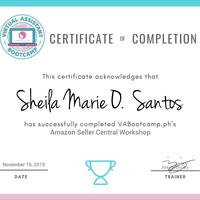 Amazon Central Seller training certificate