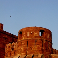 Portfolio Thumbnail 14