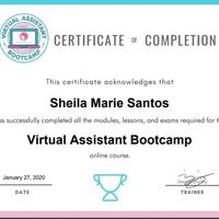 VA online course certificate