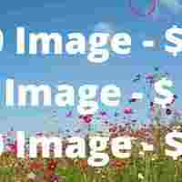 Portfolio Thumbnail 5