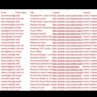 I helped an e commerce brand send campaigns to this leads