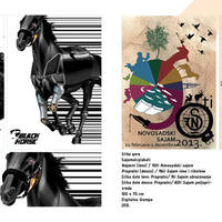 Portfolio Thumbnail 7