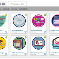 Credly Badges