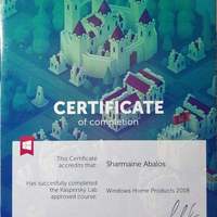 Completion of Training for Windows