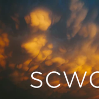 SCWD - A Vue, Firebase Single Page Application