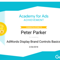 Display Brand Marketing- Google