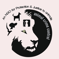 Portfolio Thumbnail 10