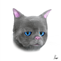 Portfolio Thumbnail 9