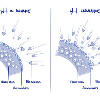 [Drawing] Medical Related 4/6