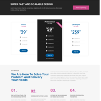 landing page