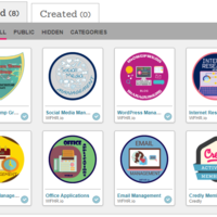 Virtual Assistant Bootcamp - Credly Badges