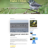 https://faglarifokus.se/