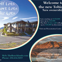 Tobiano Lots AD