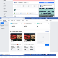 FB pages managed and built