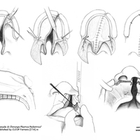 Scientific illustration - graphite