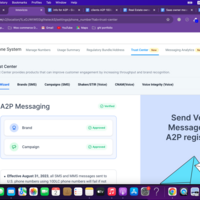 A2P 10DLC Registration Expert