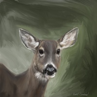 Portfolio Thumbnail 6