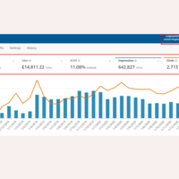 My Client Amazon ppc results