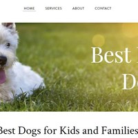 Family Dogs