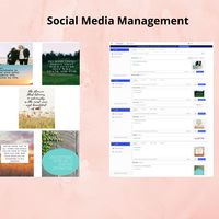 Social Media Management
