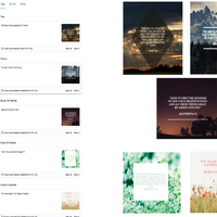 Social Media Management