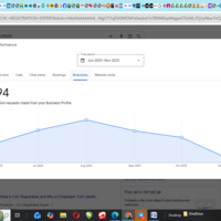GOOGLE BUSINESS PROFILE ANALYTICS