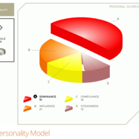 Self Disc Assessment