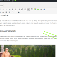 Wordpress Optimization