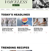 Content for vegan blog