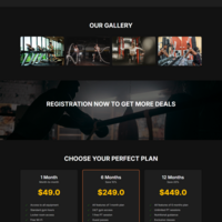 VIBE CODING AI (HTML/CSS/