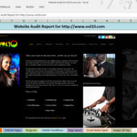 Website Audit Project for vol10.com