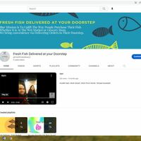 Youtube Channel