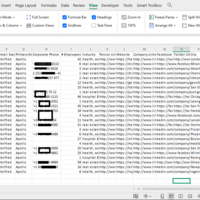 Leads generation using apollo & exported 